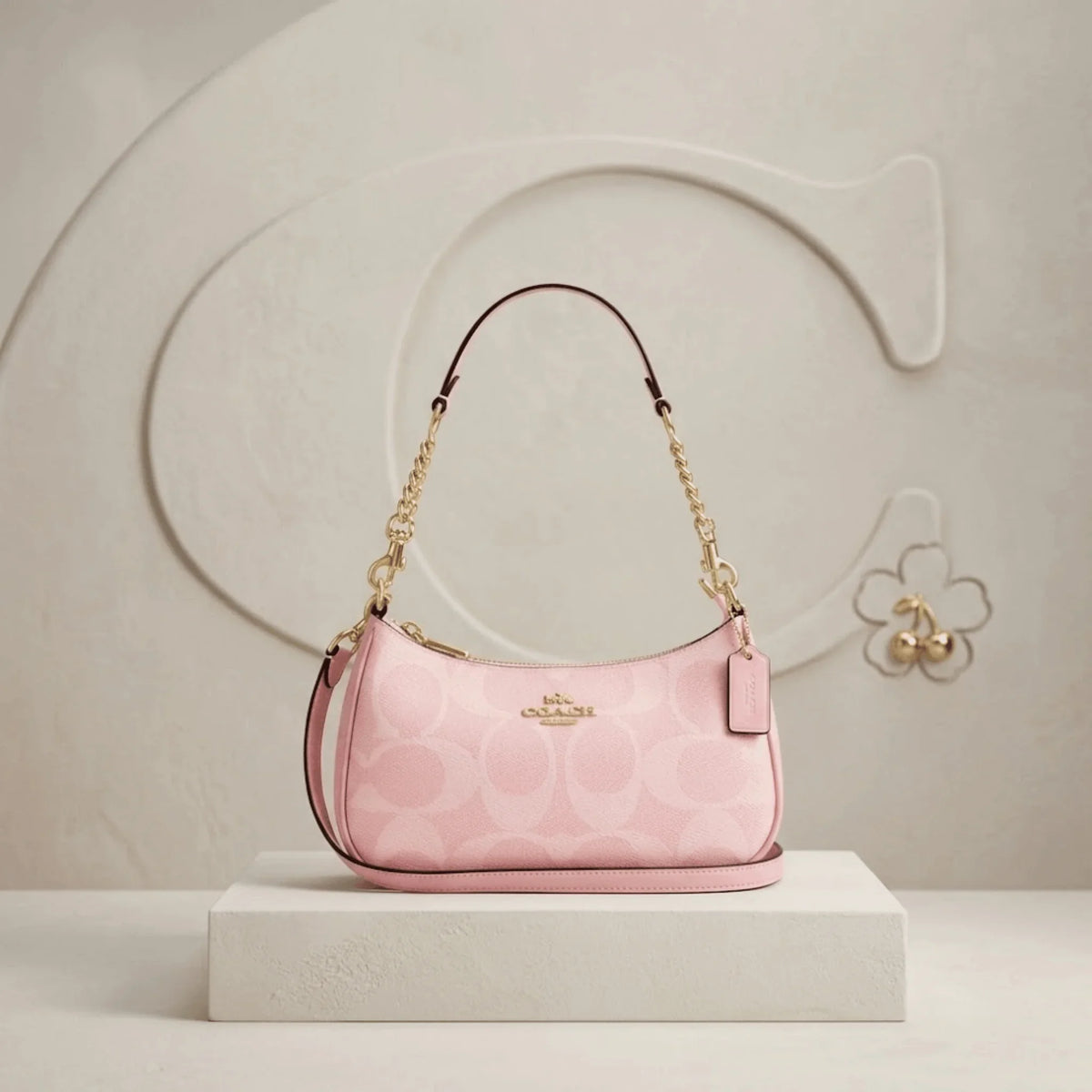 Coach Teri Shoulder Bag CAL51 in Signature Canvas