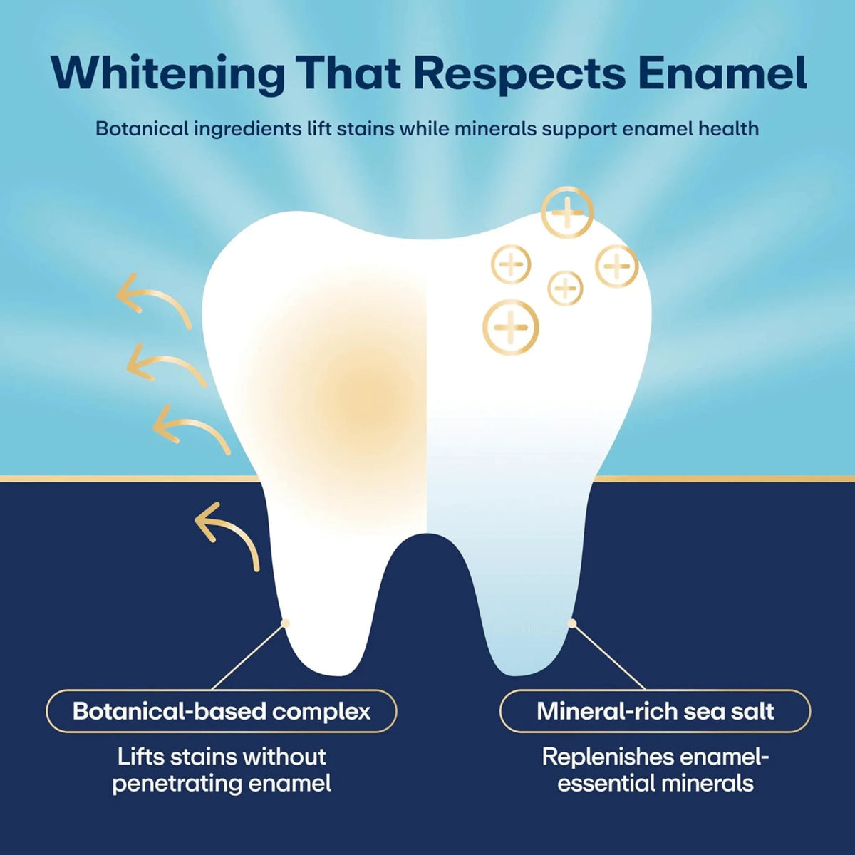 Lumineux Teeth Whitening Strips, Peroxide-Free, 21 Treatments